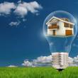 houseinlightbulb.jpg